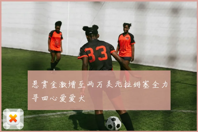 悬赏金激增至两万美元拉姆塞全力寻回心爱爱犬